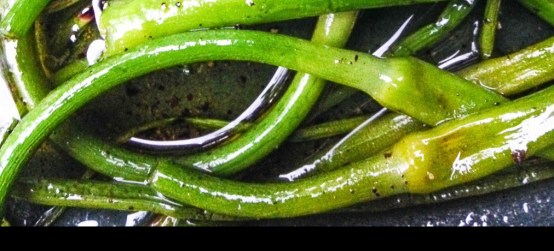 Grillatut-Valkosipulin-Kukinnot-0413